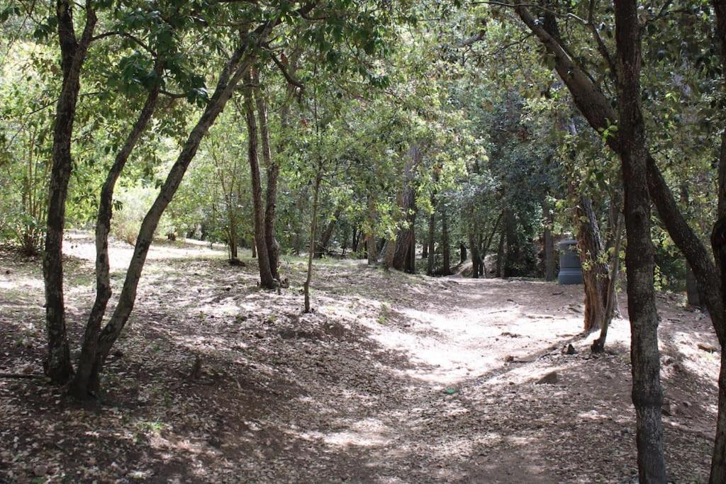 Studio L'Echappee Mandreenne Le Calme Entre Mer Et Foret Saint-Mandrier-sur-Mer Εξωτερικό φωτογραφία