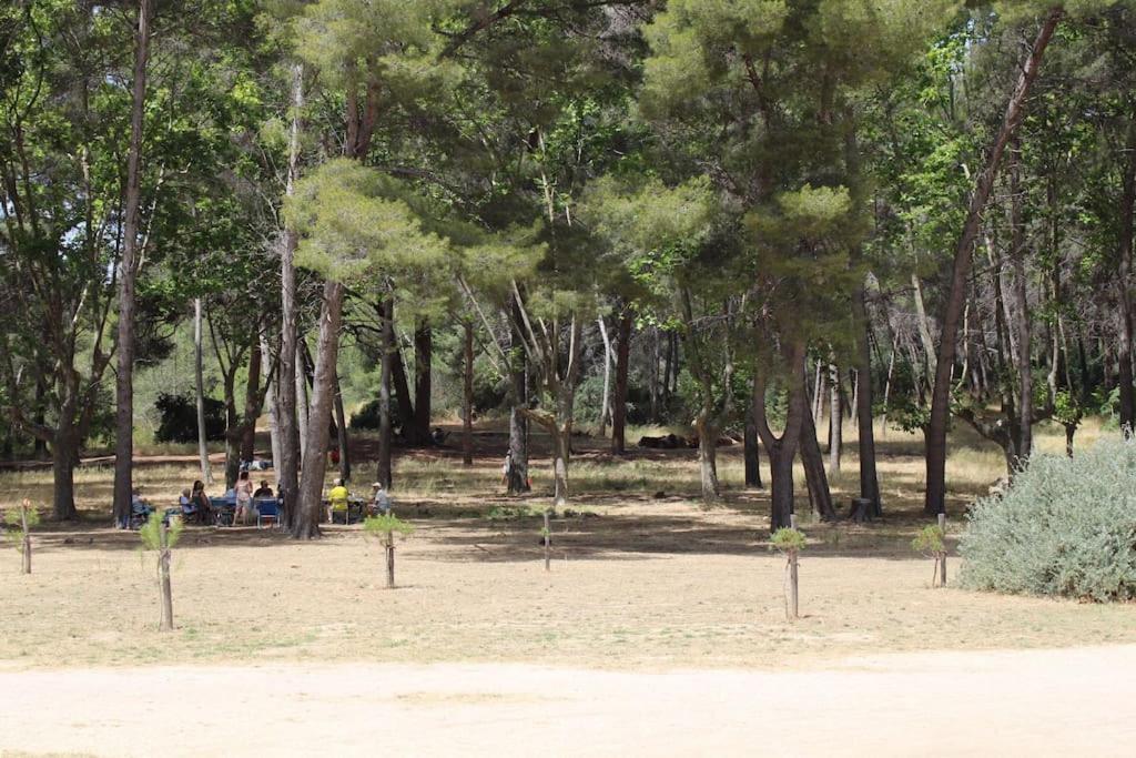 Studio L'Echappee Mandreenne Le Calme Entre Mer Et Foret Saint-Mandrier-sur-Mer Εξωτερικό φωτογραφία