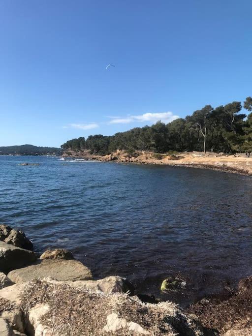 Studio L'Echappee Mandreenne Le Calme Entre Mer Et Foret Saint-Mandrier-sur-Mer Εξωτερικό φωτογραφία