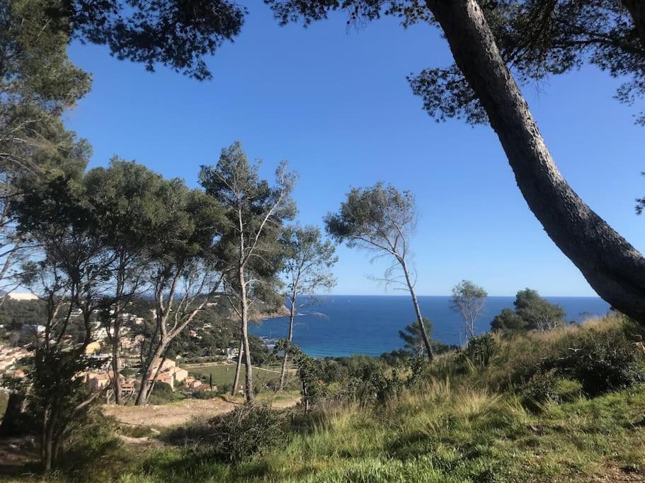 Studio L'Echappee Mandreenne Le Calme Entre Mer Et Foret Saint-Mandrier-sur-Mer Εξωτερικό φωτογραφία