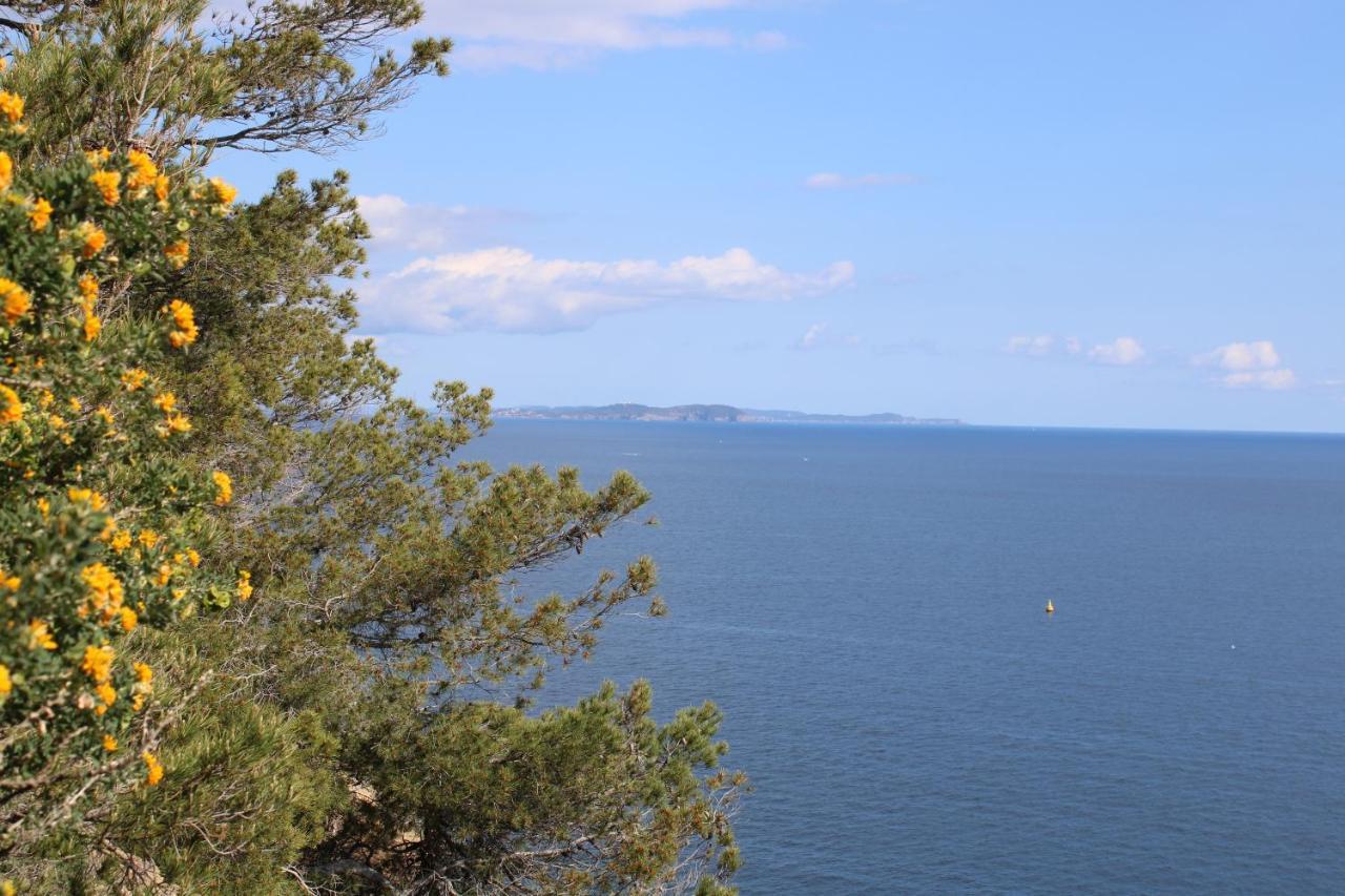 Studio L'Echappee Mandreenne Le Calme Entre Mer Et Foret Saint-Mandrier-sur-Mer Εξωτερικό φωτογραφία